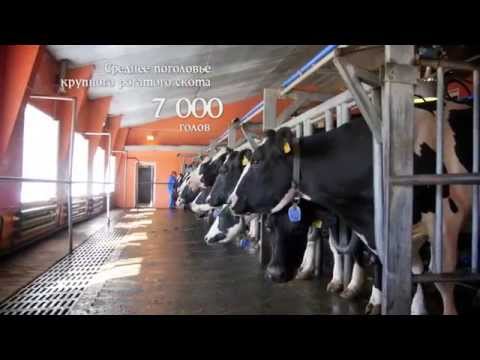 Видео: ИРМЕНЬ. Ближе к душе.