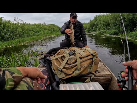 Видео: Риболовля на річці Стохід: Спінінгові улови з другом