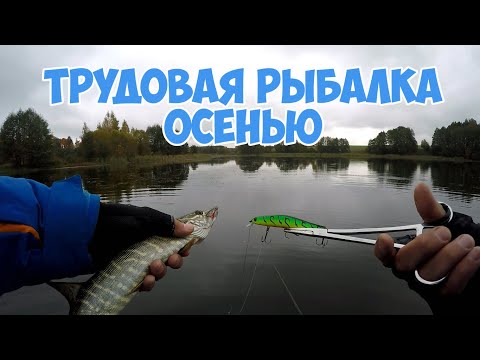 Видео: Трудовая рыбалка на щуку осенью. Снова ZipBaits Orbit 110 спасает рыбалку