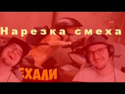 Видео: Нарезка смеха Майни часть 1