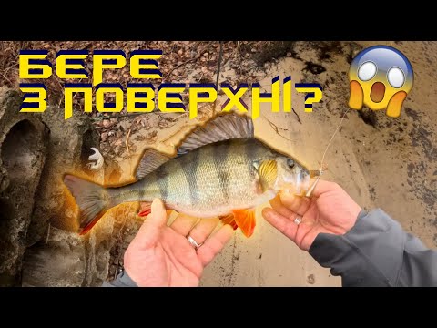 Видео: Окунь з поверхні в січні! Відкриття спінінгового сезону 2025!