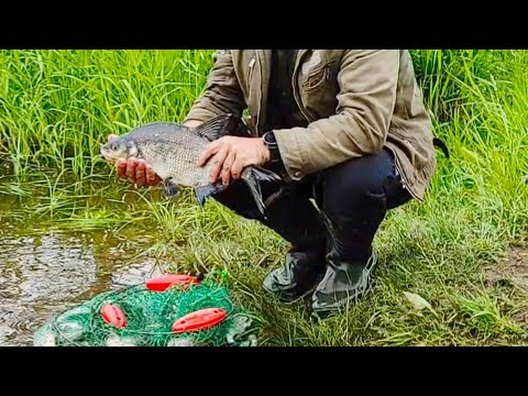 Видео: ЛОВЛЯ КРУПНОГО ЛЕЩА ВЫШЕ ВОЛХОВСКОЙ ГЭС .РЫБАЛКА С НОЧЕВКОЙ И ПАЛАТКОЙ . ДВА ДНЯ НА РЕКЕ ВОЛХОВ .