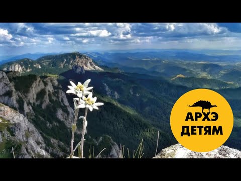 Видео: Земля как гора — высотная и широтная поясность Александр Хабургаев (выпуск 38)