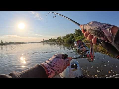 Видео: Спиннинг с лодки на Припяти. Судаки, Сомы и Щуки. Сентябрь 2025 года