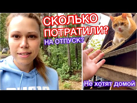 Видео: Сколько денег потратили на отпуск? Хотим ли мы переехать? Коты не хотят домой!