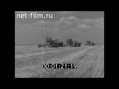 Видео: 1964г. Саратовская область. Уборка урожая
