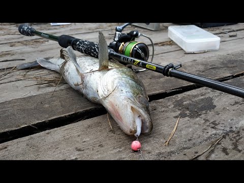 Видео: Ловля СУДАКА ранней весной на ДЖИГ!! СУДАК на ПЛАТНИКЕ!!