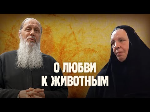 Видео: О любви к животным