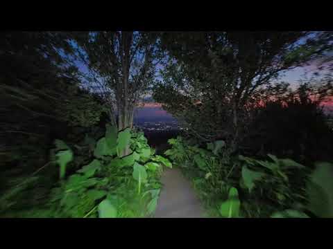 Видео: Велосреда 07.06.2023, Шыбынсай