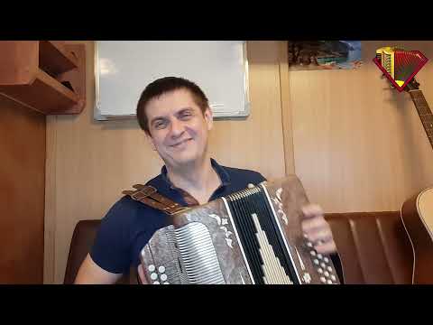 Видео: Чё те надо, чё те надо | Разбор на Гармони