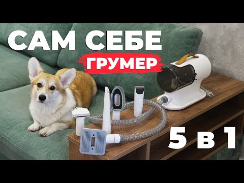 Видео: Genio Pet i50: пылесос для груминга✂️😺🐶  Набор из 5 насадок🔥 ОБЗОР и ТЕСТ✅