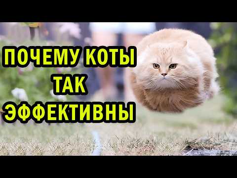 Видео: Самая милая имба в мете | Земля - это игра
