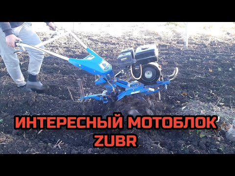 Видео: ОБЗОР МОТОБЛОКА ZUBR PS-Q70 6.5 Л.С
мотоблок зубр обзор