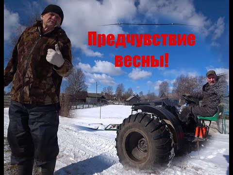 Видео: Предчувствие весны!