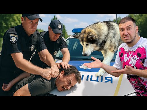 Видео: ПОЛИЦИЯ ПОЙМАЛА ПОДПИСЧИКОВ У НАС ДОМА