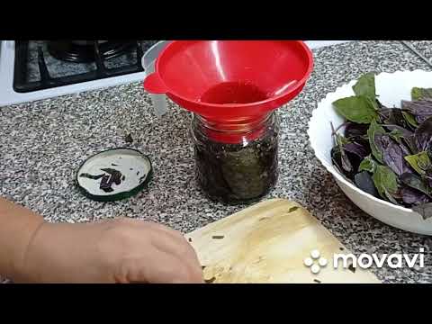 Видео: АРОМАТНАЯ ПРИПРАВА  для САЛАТОВ из БАЗИЛИКА! Как сохранить базилик на зиму без стерилизации