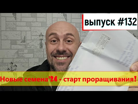 Видео: 132 Новые семена и трубе - труба! 21.03.2024