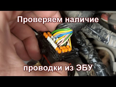 Видео: Установка круиз-контроля на Xray 1.8 AMT. Часть 2 - проводка к ЭБУ.