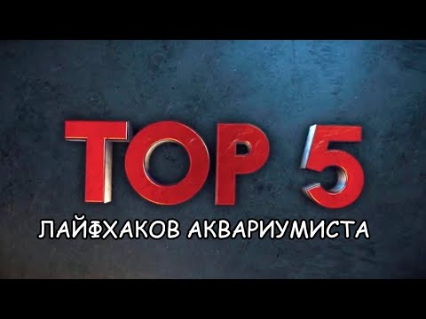 Видео: ТОП 5 ЛАЙФХАКОВ АКВАРИУМИСТА. Часть 4