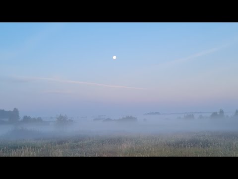 Видео: Волшебный рассвет, забавные деревяшки и закрытие летнего душа