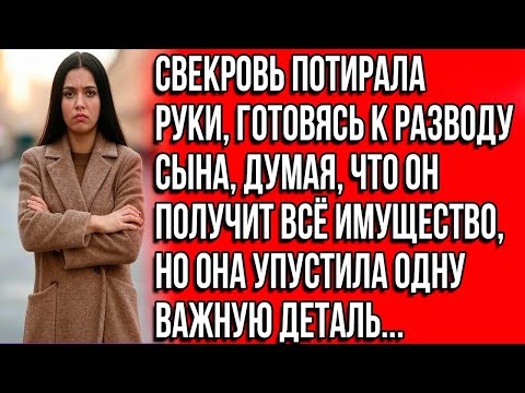 Видео: Свекровь потирала руки, готовясь к разводу сына, думая, что он получит всё имущество, но она