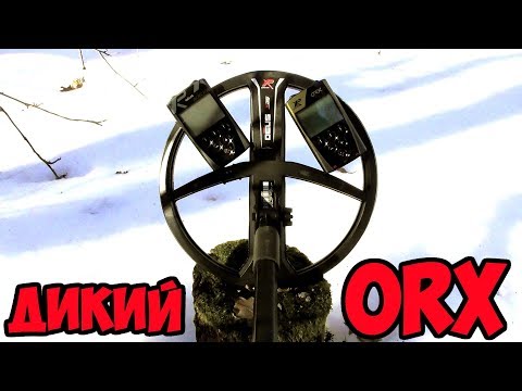 Видео: ТЕСТ XP ORX & XP DEUS С ЧЕРНОЙ 11  ОЙ КАТУШКОЙ X35!!!