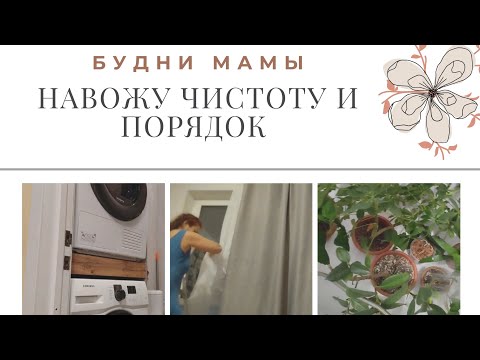 Видео: Будни мамы/ Навожу порядок и чистоту💦/ рассказываю новости💥