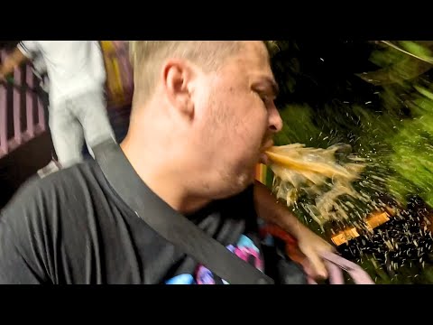 Видео: Делийский живот - ЭТО РЕАЛЬНО!!!