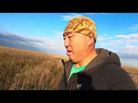 Видео: охота на уток, шашлычок,  казара идет