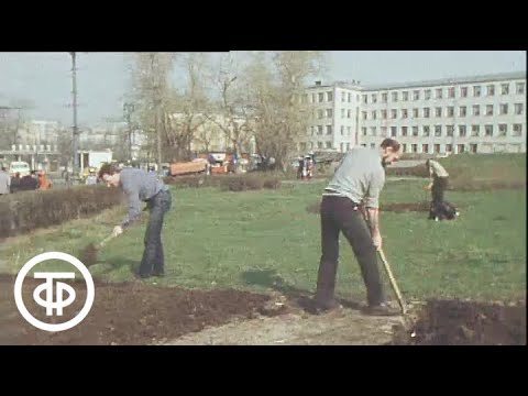 Видео: Стежки-газоны в городах. Добрый вечер, Москва! Эфир 23.04.1989
