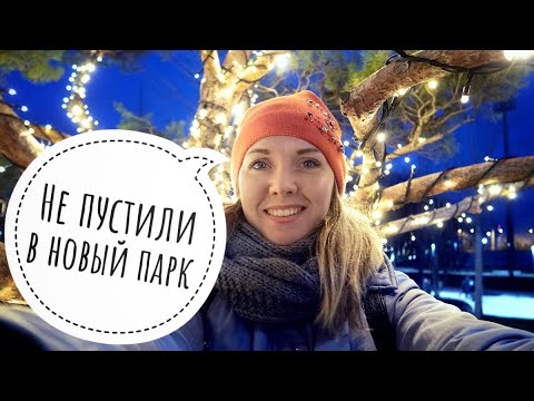 Видео: Как мы встретили новый год. Почему нас не пустили в парк