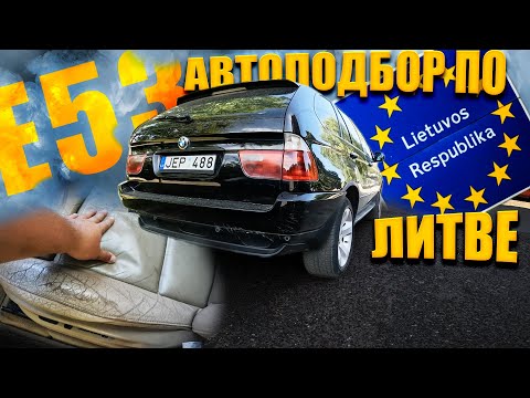 Видео: ВЫМИРАЮЩИЙ ВИД! Сложный ПОДБОР BMW X5 E53 по ЛИТВЕ
