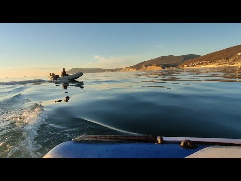 Видео: Широкая Балка 10.01.25, ловим ставриду в Черном море. Дельфины