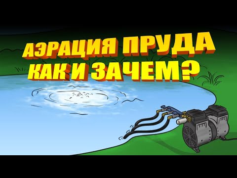 Видео: Аэрация пруда: Как и зачем?