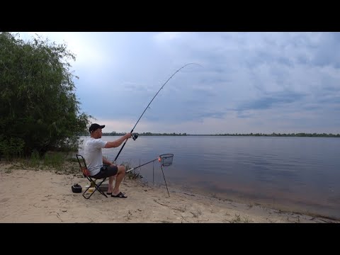 Видео: Фідерна рибалка на Дніпрі в Києві! Вечірній виїзд на Ляща. Рибалка 2024.