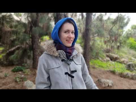 Видео: Про СТАРЫЕ ВИДЕО с канала "Штукенция"