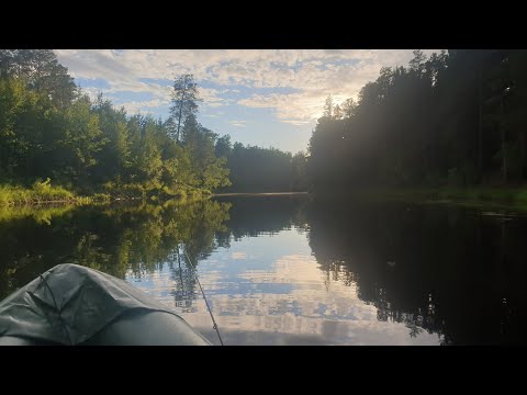 Видео: РЫБАЛКА НА ТАЁЖНОЙ РЕКЕ .СПИННИНГ. ДОНКА.ПОПЛАВОК.