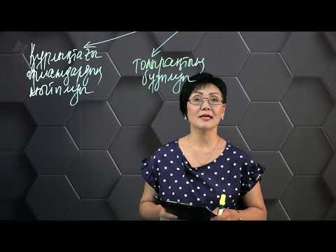 Видео: § 20. Геоэкологиядағы антропогендік факторлар.