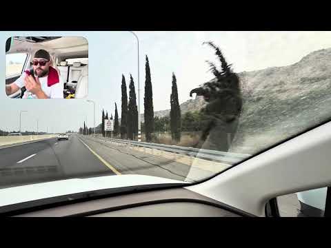 Видео: Опыт работы с бизнес консалтингом 