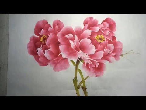 Видео: Китайская кисть пион
