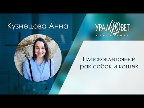 Видео: Плоскоклеточный рак собак и кошек. Кузнецова Анна #убвк_онкология