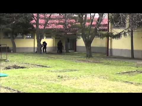 Видео: 34 години Единица за специјални задачи " ТИГАР "