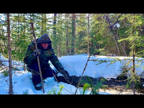 Видео: Сети и петли для пропитания (30 лет одиночества 73 серия)