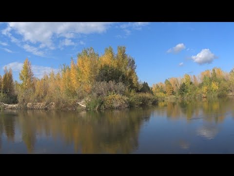 Видео: Не за рыбой, а на рыбалку, прогулка, поиск грибов  г Актобе р Илек 2023г