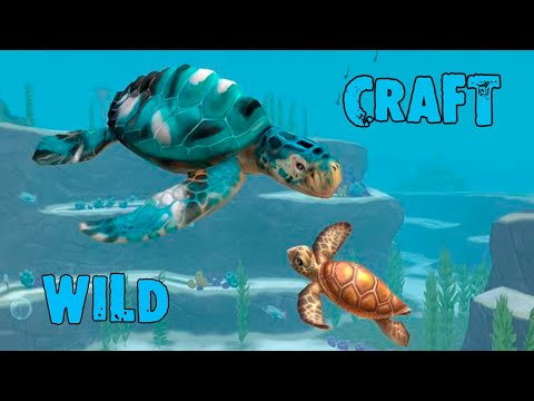Видео: Покупаем ЧЕРЕПАШКУ в мире океана 🐢 WildCraft