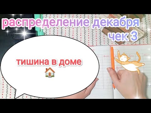 Видео: СИСТЕМА ДЕНЕЖНЫХ КОНВЕРТОВ📩 РАСПРЕДЕЛЕНИЕ ДЕКАБРЯ💌 ЧЕК 3🧾