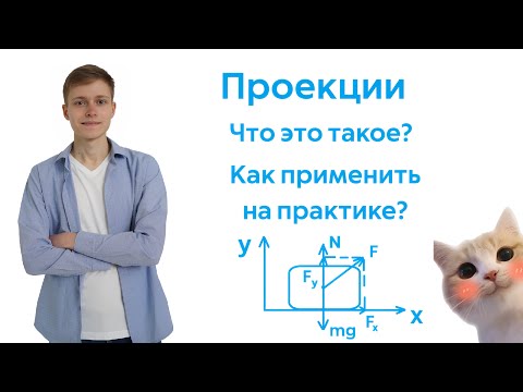 Видео: Проекции - что это и как применить на практике. Физика ОГЭ/ЕГЭ