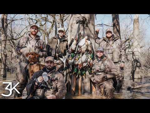 Видео: Охота на уток на общественных землях Арканзаса | День синей птицы