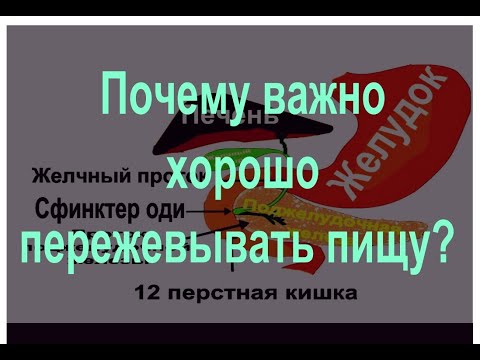 Видео: Почему важно хорошо пережевывать пищу?