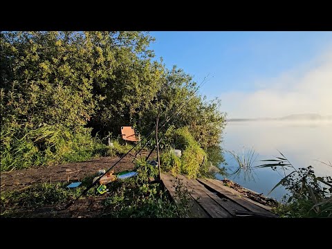 Видео: Рыбалка на платнике мат 30+